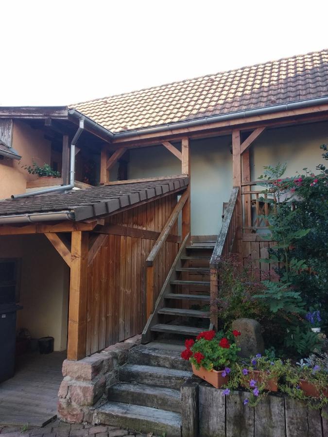 Appartement Les vignes à Bennwihr Extérieur photo